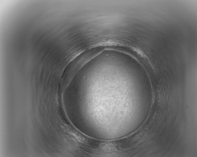 X0000059241217200510211553