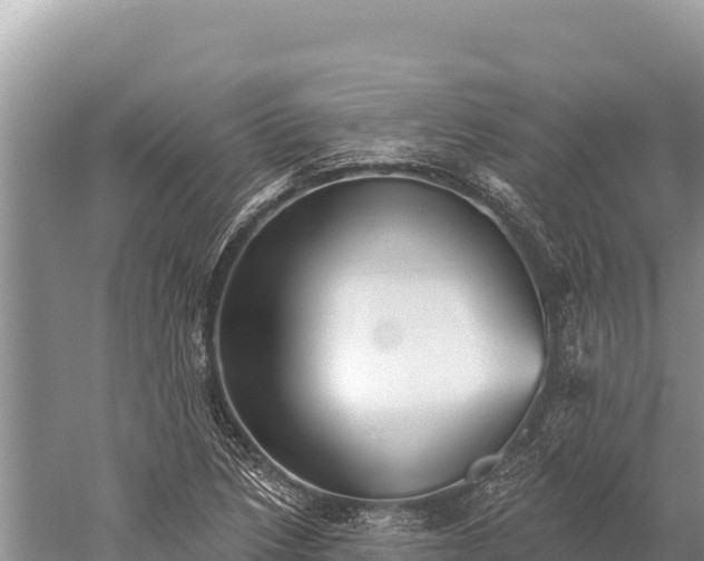 X0000059241218200510211553