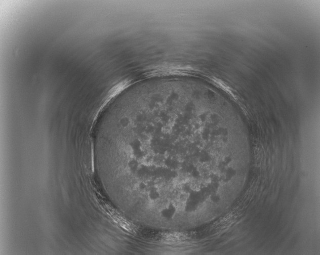 X0000059241219200510211553