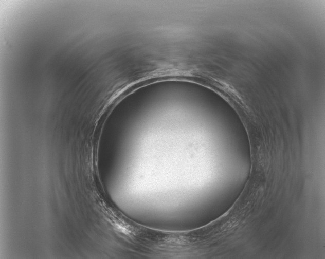 X0000059241220200510211553