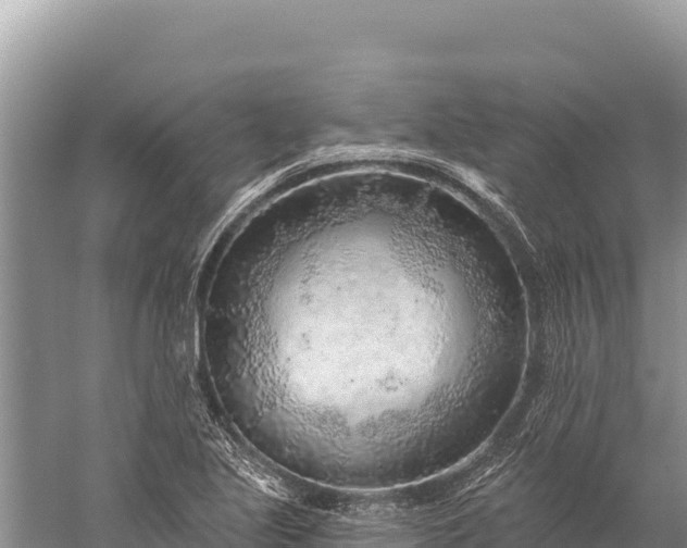 X0000059241221200510211553