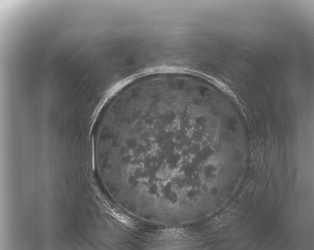 X0000059241223200510211553