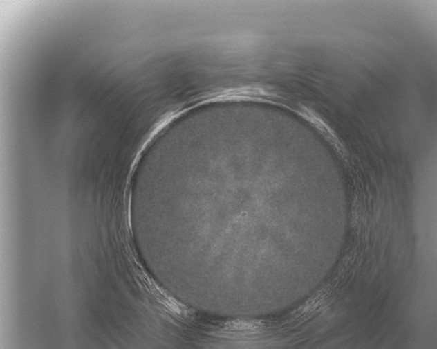 X0000059241224200510211553