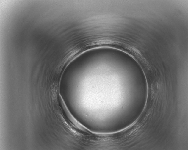 X0000059241225200510211553