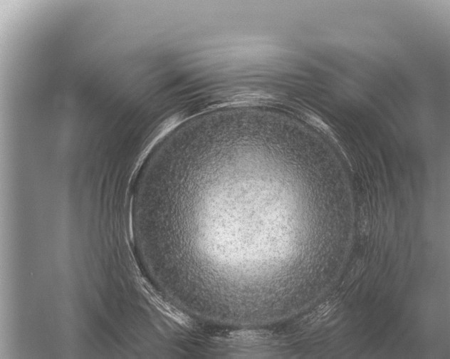 X0000059241227200510211553