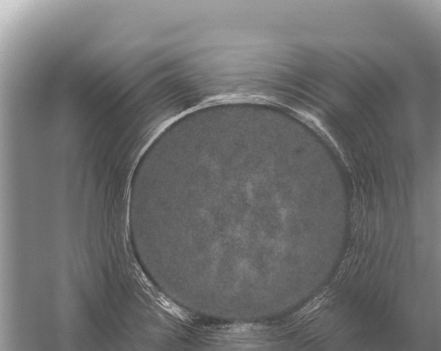 X0000059241228200510211553