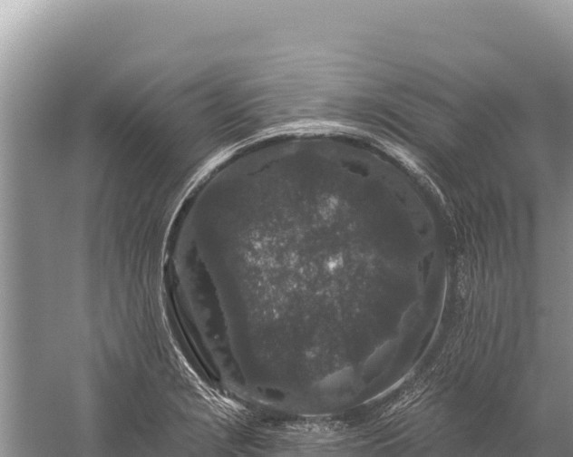 X0000059241229200510211553