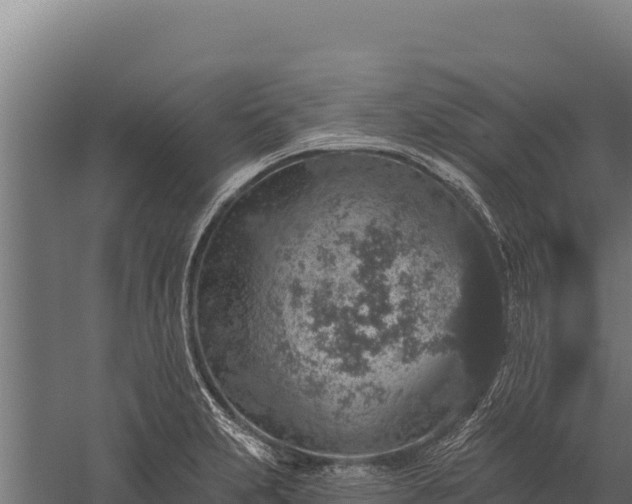 X0000059241231200510211554