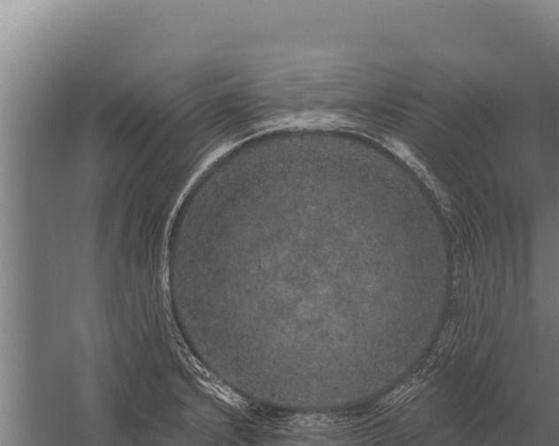 X0000059241232200510211554