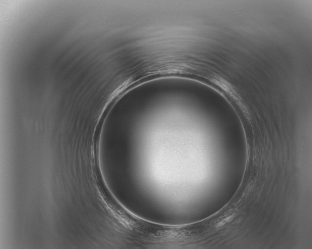 X0000059241234200510211554