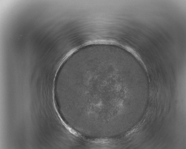 X0000059241237200510211554