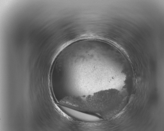 X0000059241239200510211554