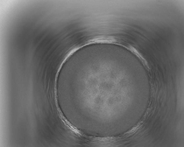 X0000059241240200510211554