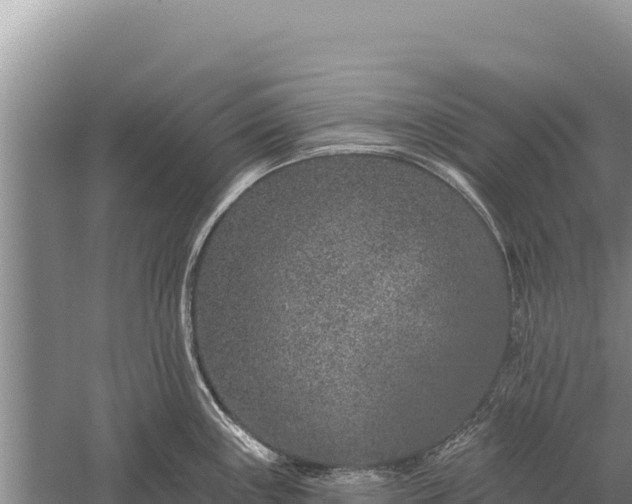 X0000059241243200510211554