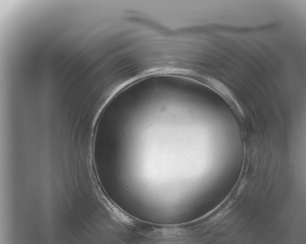 X0000059241244200510211554