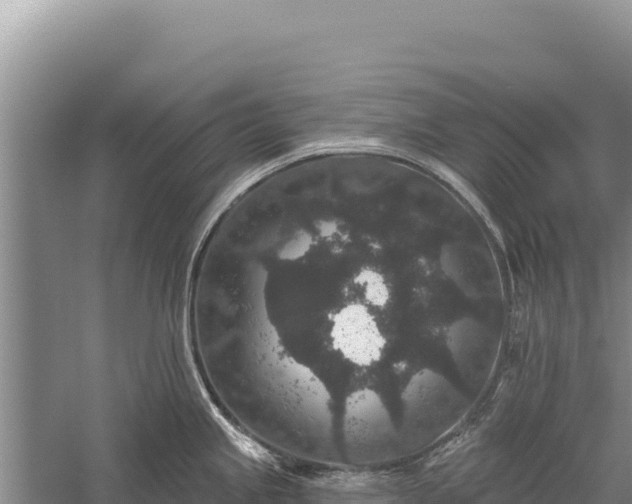 X0000059241245200510211554