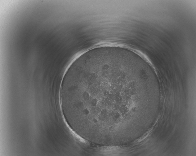 X0000059241247200510211554