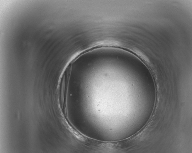 X0000059241248200510211554