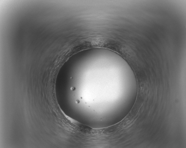 X0000059241249200510211553