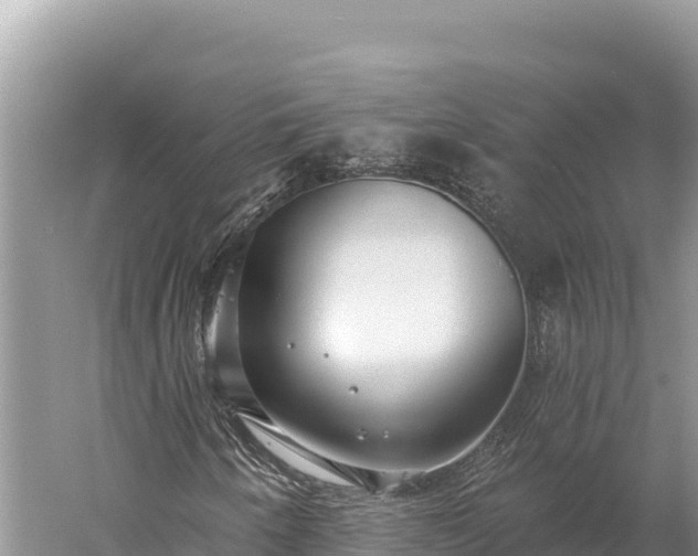 X0000059241250200510211553