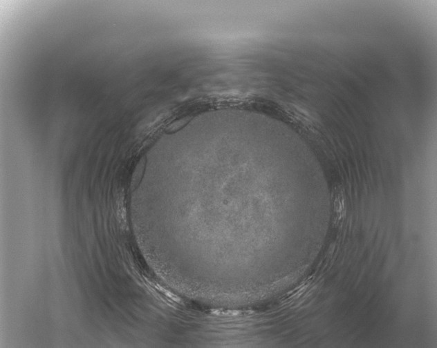 X0000059241252200510211553