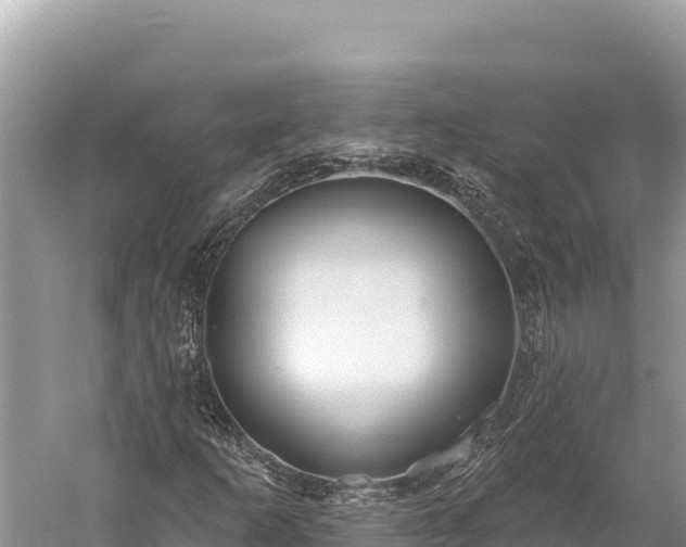 X0000059241253200510211553