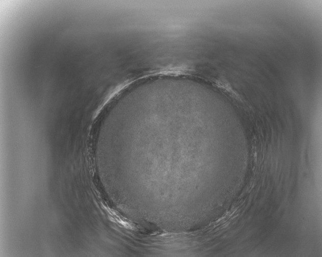 X0000059241256200510211553