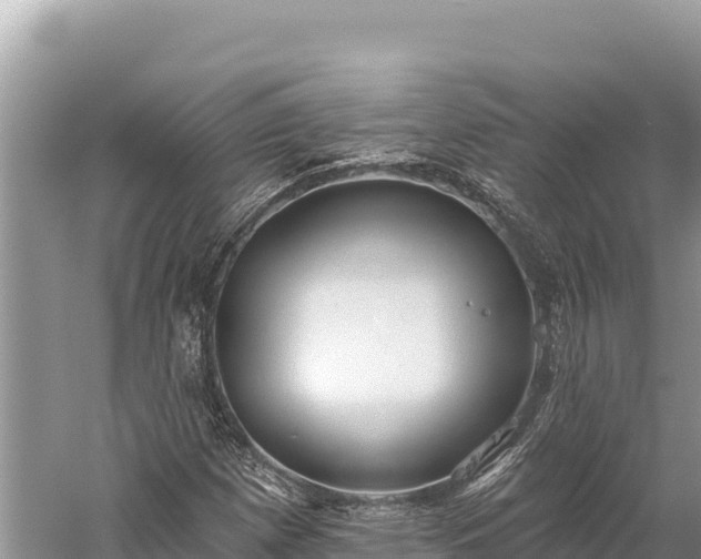 X0000059241257200510211553