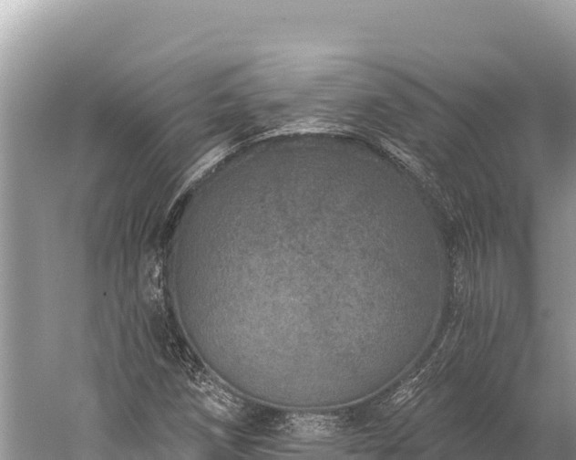 X0000059241258200510211553