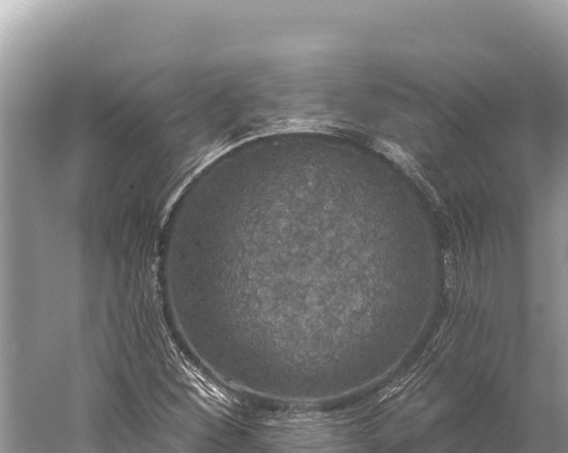 X0000059241260200510211553