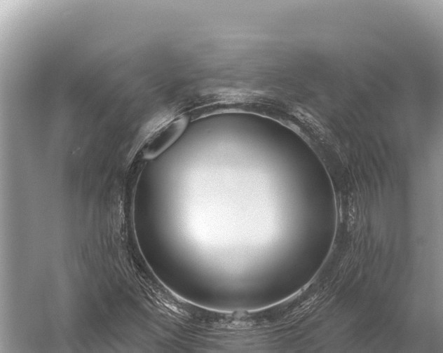 X0000059241261200510211553