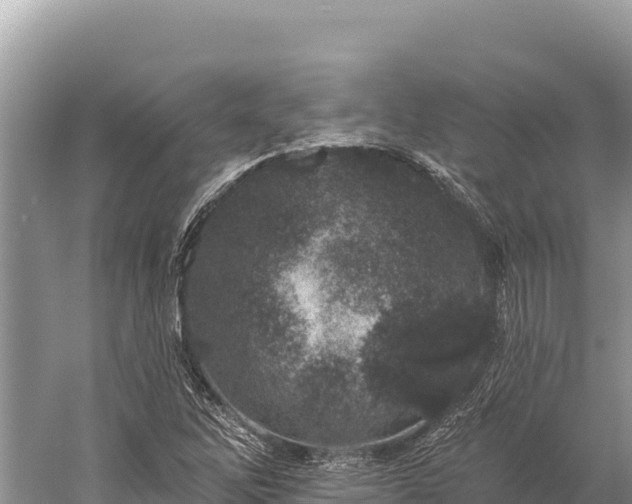 X0000059241262200510211553