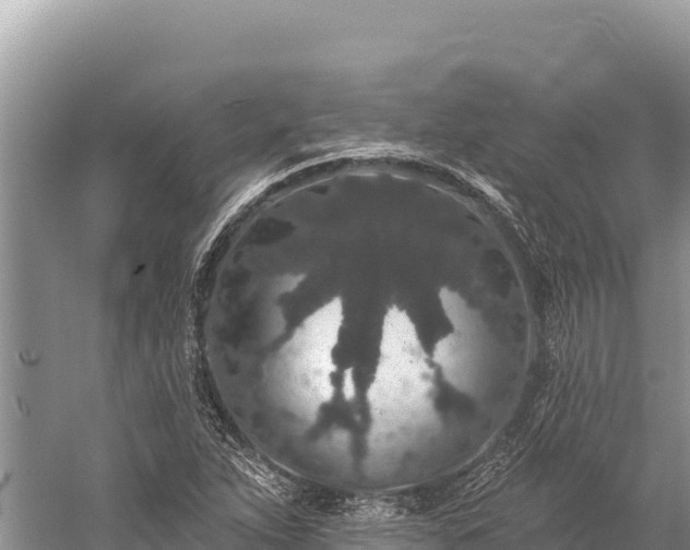 X0000059241263200510211553