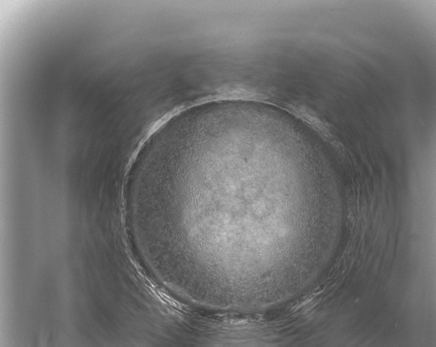 X0000059241264200510211553