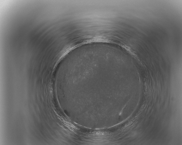 X0000059241266200510211553