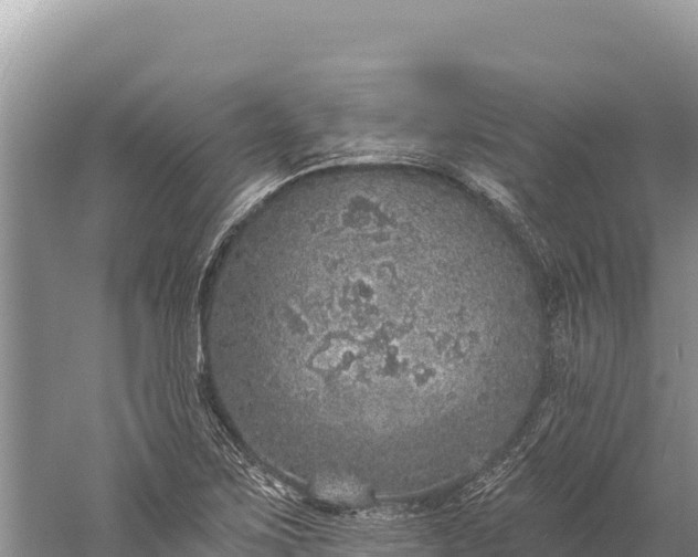 X0000059241267200510211553