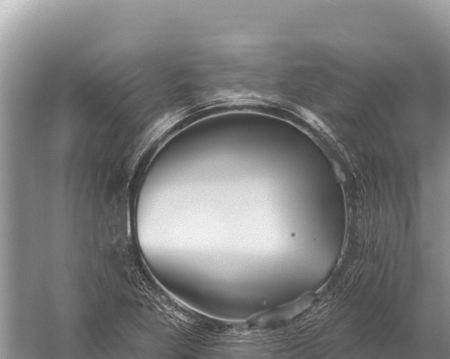 X0000059241269200510211553