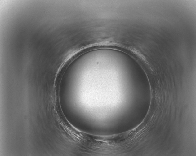 X0000059241270200510211553