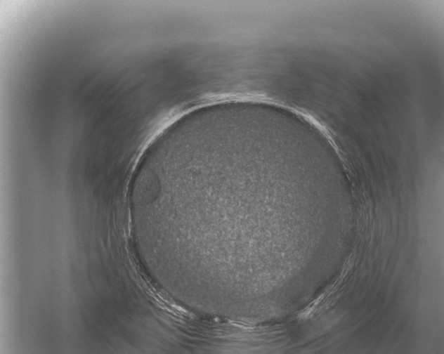 X0000059241271200510211553