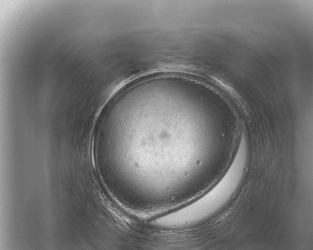 X0000059241272200510211553