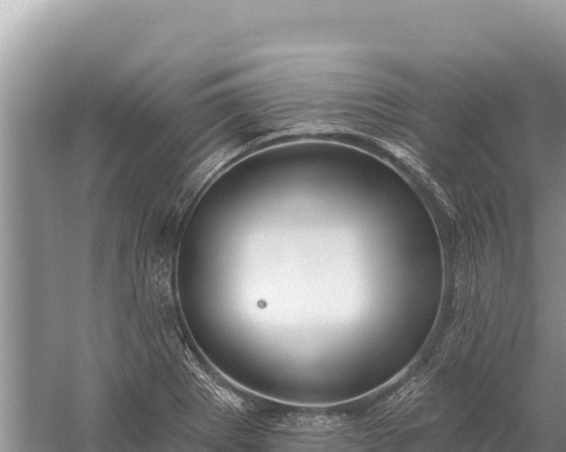 X0000059241273200510211553