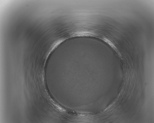 X0000059241277200510211553