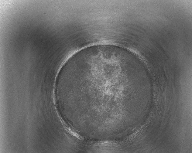 X0000059241278200510211553