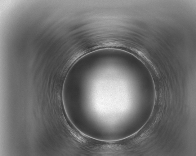 X0000059241281200510211552