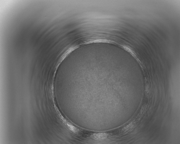 X0000059241282200510211552