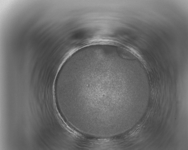 X0000059241283200510211552