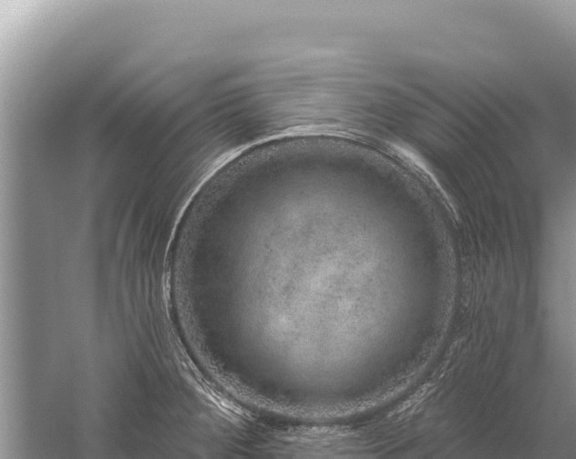 X0000059241284200510211552