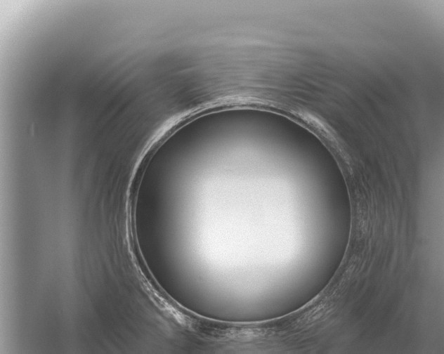 X0000059241286200510211552