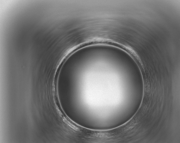 X0000059241287200510211552