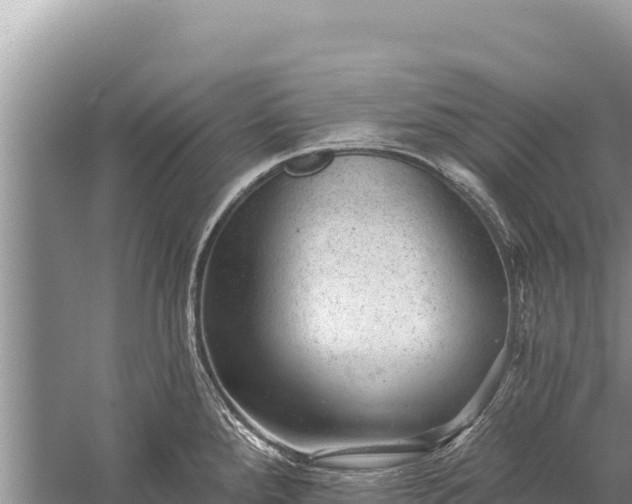 X0000059241288200510211552